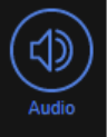 Audio